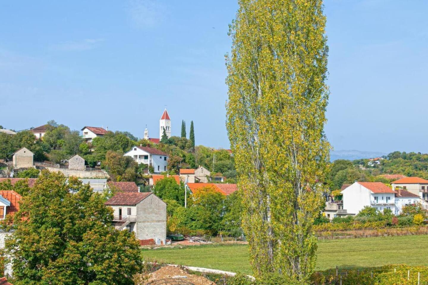 Villa Olea Zmijavci Extérieur photo